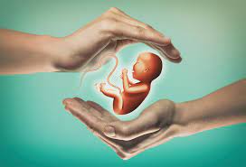 Embryo Donation Lawyer Henderson, NV